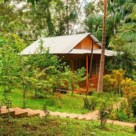 Cabanas Dechi Puerto Nariño 외부 사진