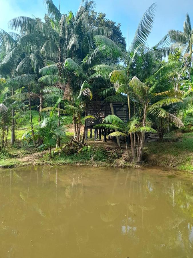 Cabanas Dechi Puerto Nariño 외부 사진