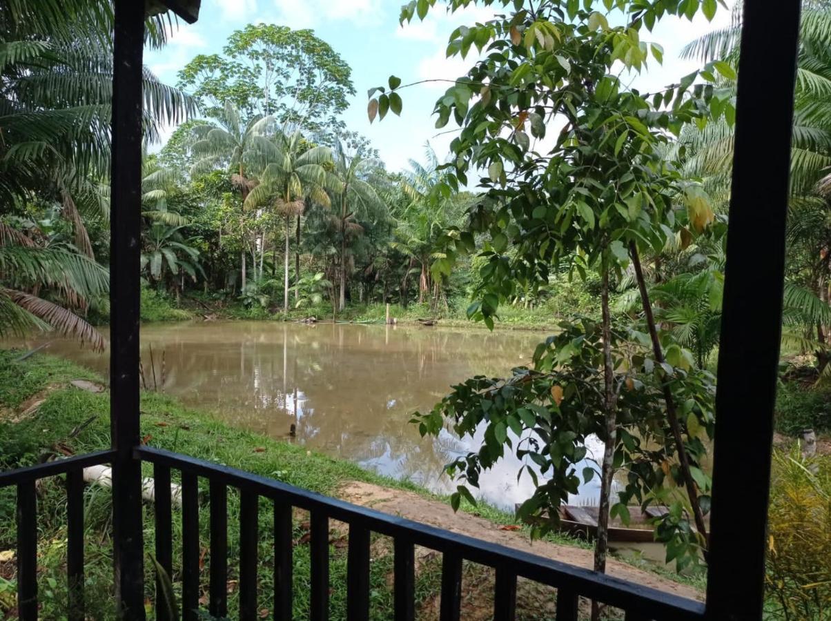 Cabanas Dechi Puerto Nariño 외부 사진