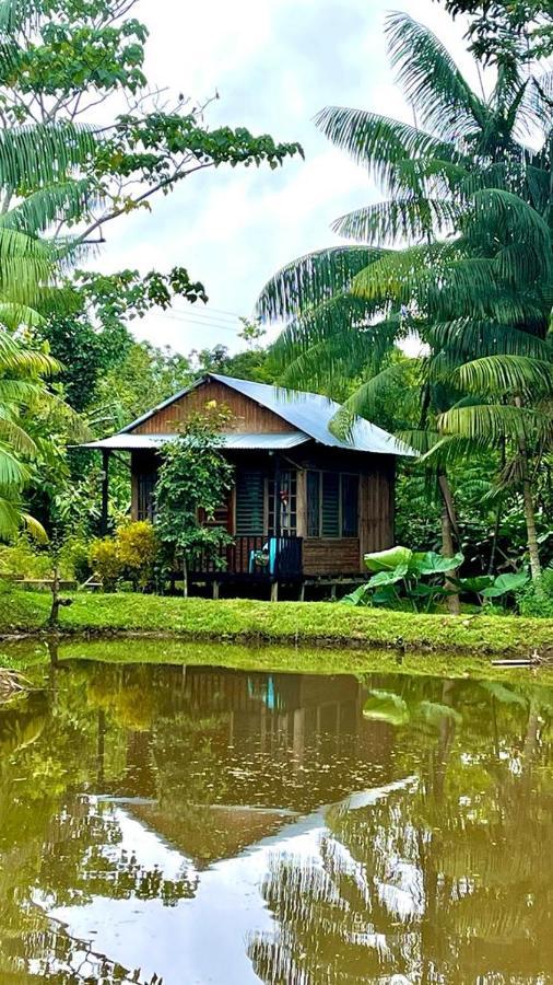 Cabanas Dechi Puerto Nariño 외부 사진